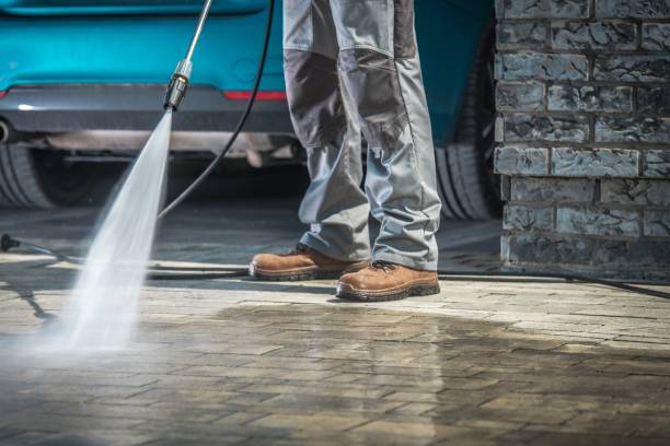 Best Roof Washing  in Lemoore Station, CA